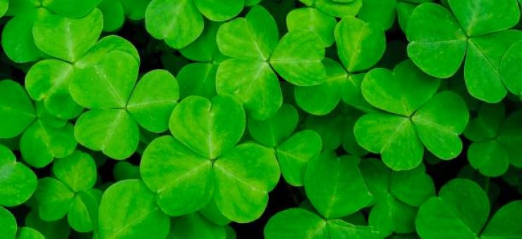 Tot 5 mei showroom op afspraak geopend